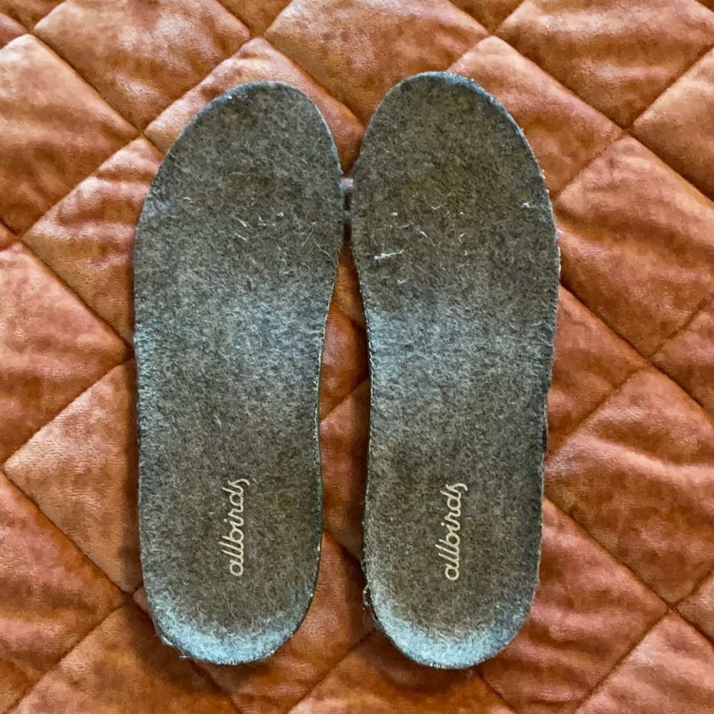 Allbirds Insoles, GUC